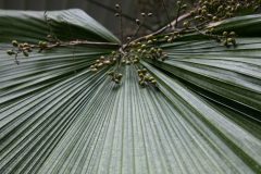 IMG_1044-Verbessert-scaled