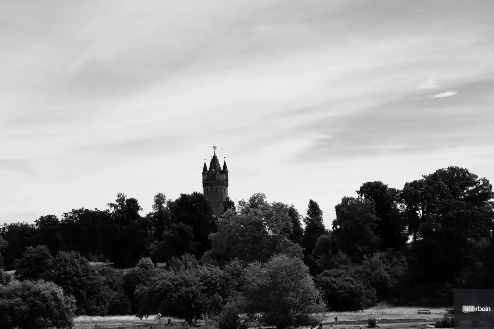 Turm über einer Baumlinie in Schwarz-Weiß
