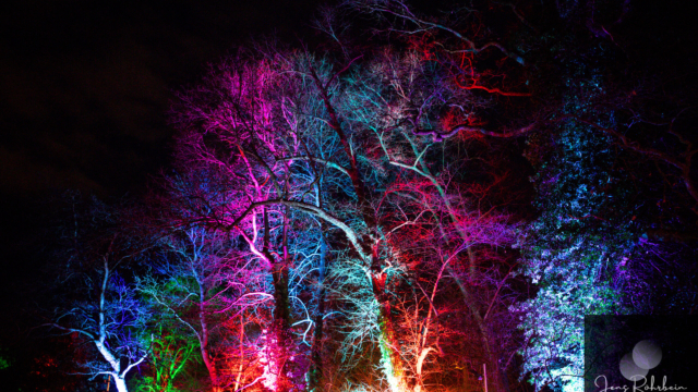 Weihnachten im Tierpark